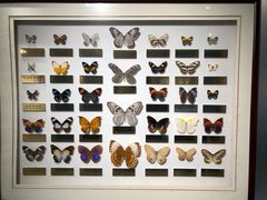 -上海昆虫博物馆