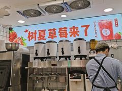 -树夏(建设路店)