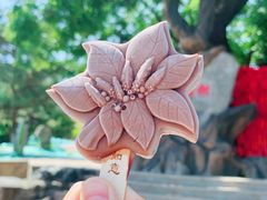 -八大处公园