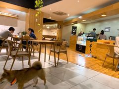 大堂-柴务处·柴犬主题狗咖