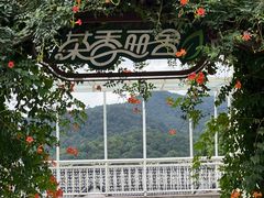 -杭州西湖风景名胜区-满觉陇四眼井