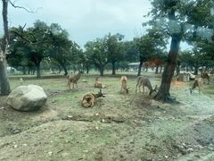 -西安秦岭野生动物园