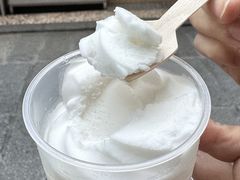 -洪馨椰子