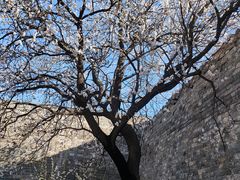 -北京明城墙遗址公园