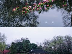 -莫愁湖公园