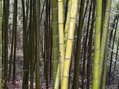 -天目湖御水温泉·度假酒店