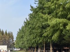 -祝甸砖窑文化馆