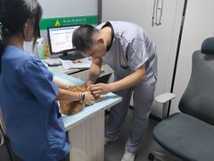 -半岛宠物医院24小时(科华中路店)