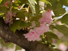 -苏州河梦清园环保主题公园