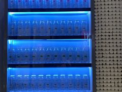 -蔻蔻椰·鲜萃椰子水(COCO Park店)