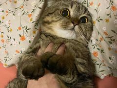 -月枫堂(长春这有山店)