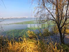 -西昌邛海湿地