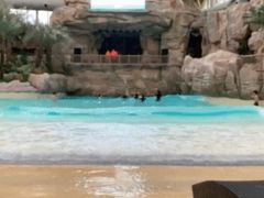 -杭州开元森泊度假乐园