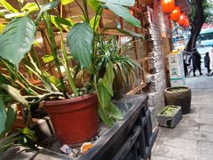 -朱氏胖子烂火锅(洪崖洞店)