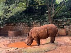 -昆明动物园