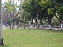 -厦门大学(思明校区)
