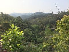 -田心森林公园