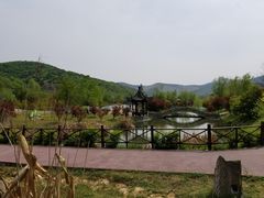 -石塘人家