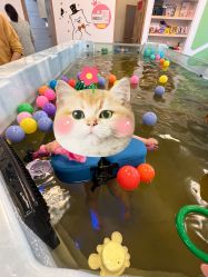 -香港3861国际母婴生活馆(后海雅园店)