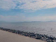 -深圳湾公园(南山区)