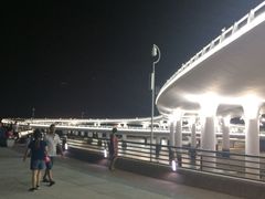 -演武大桥观景平台