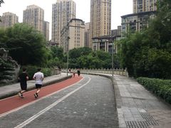 -龙头寺公园
