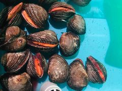 -JUKEBOX玖部音乐餐厅(华侨城店)