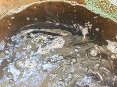 -翠茗农庄土菜馆(天目湖店)