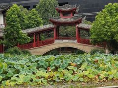-龙潭水乡