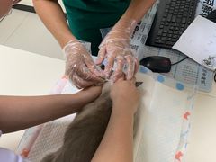-全心全意连锁动物医院·微创中心·内科急重症·心脏专科(丰管路店)