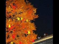 -紫阳古街