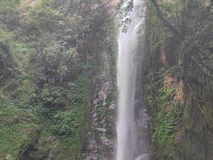 -莫里热带雨林景区