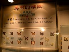 -吉林省自然博物馆