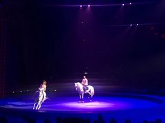 -珠海横琴长隆《卡卡虎奇遇记》