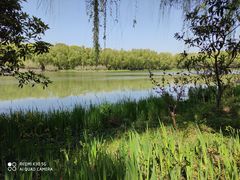 -昆山城市生态森林公园