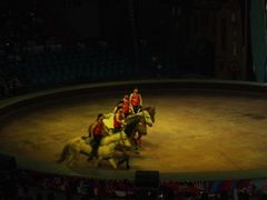 -俄罗斯国家大马戏团