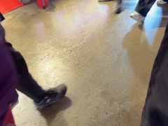 -清真老马家国华牛奶鸡蛋醪糟(正宁路店)