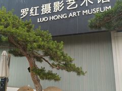 -罗红摄影艺术馆