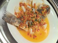 -美食汇·海鲜自助西餐厅·江门富力万达嘉华酒店