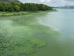 -长广溪湿地公园