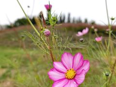 -汉长安城未央宫国家考古遗址公园