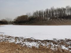 -大兴滨河森林公园