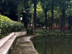 -晓港公园