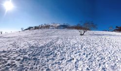 -大秃顶子山