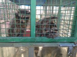 -萌宠亲子动物乐园(槐房万达店)