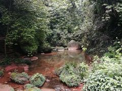 -赤水丹霞旅游区·佛光岩