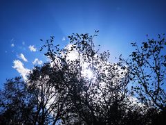 -终南山国家森林公园