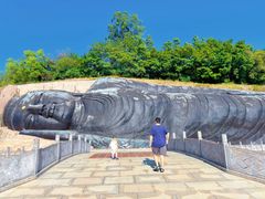 -三水森林公园