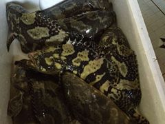 -浪琴湾尾角仔海鲜坊