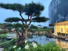 -罗红摄影艺术馆